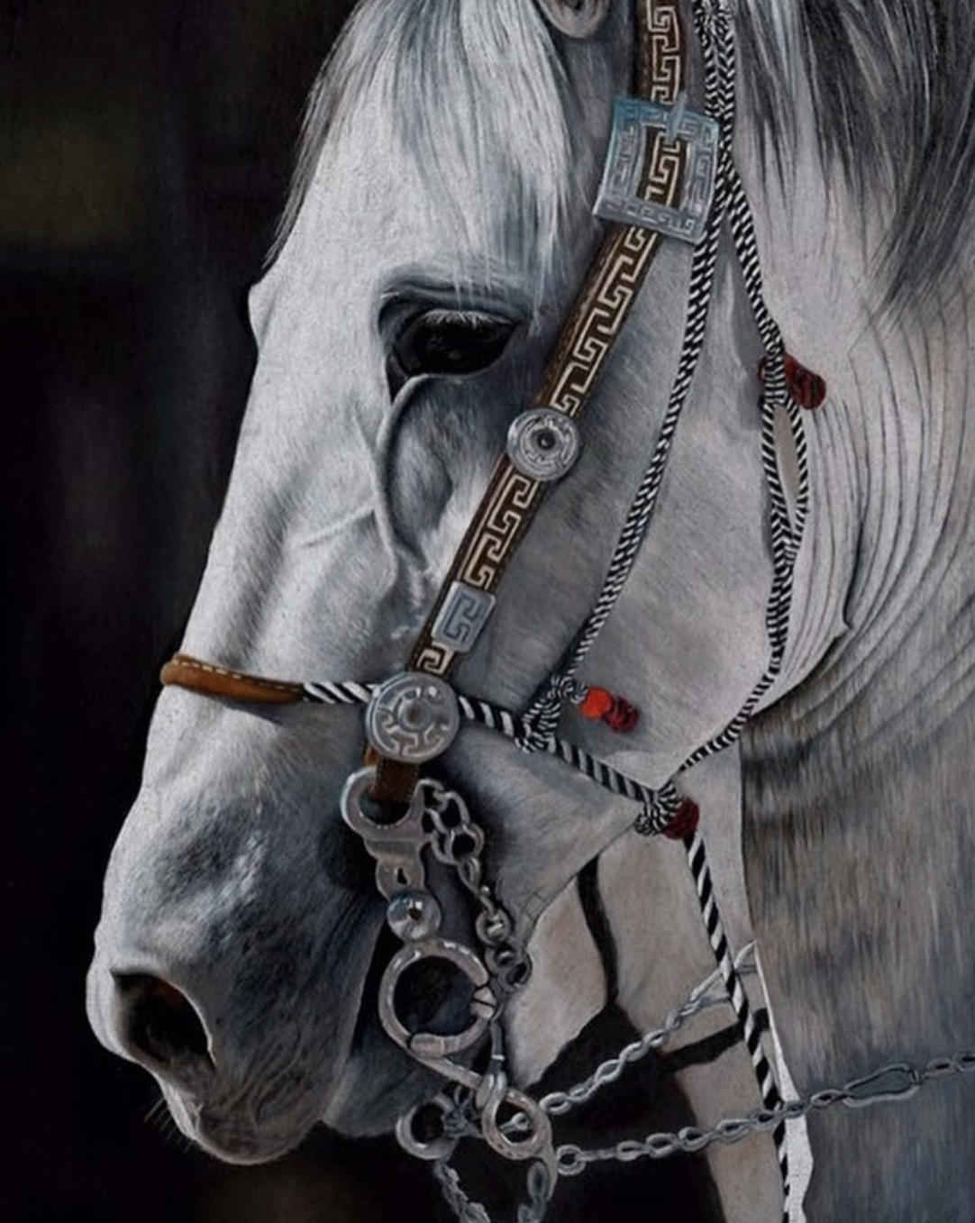 Colored pencil portrait of a white horse in a Western bridle